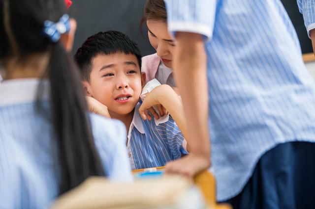 迈阿密大学(佛罗里达)专业一览表