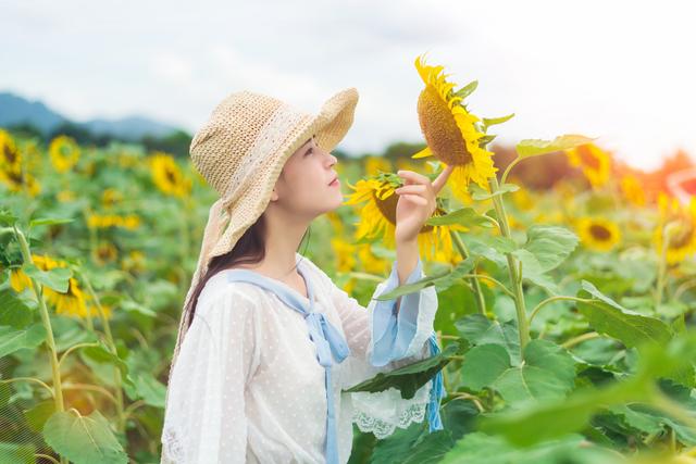 特伦托大学学费一年要花多少费用